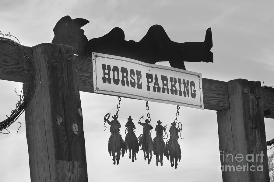 Horse Parking Photograph by James BO Insogna