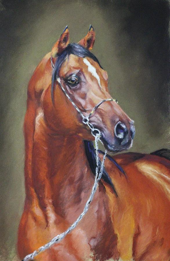 Horse Painting - Horse Portrait  by Marco  Antonio
