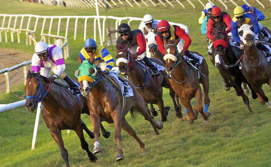 horse race Barbados Photograph by Andrea Urlass | Fine Art America