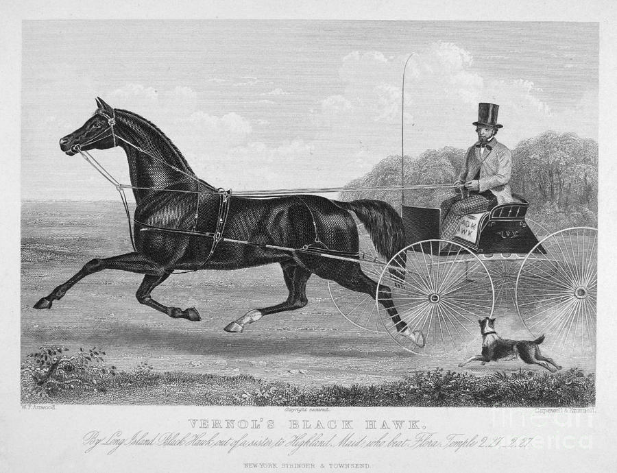 HORSE RACING, c1850 Photograph by Granger