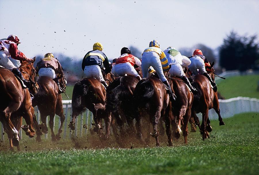 14.674 fotos de stock e banco de imagens de Horse Racing Back