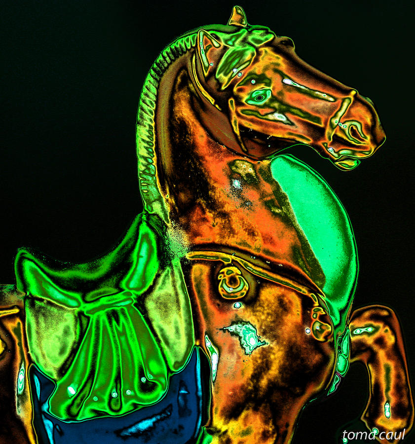 Horse Statue Photograph by Toma Caul