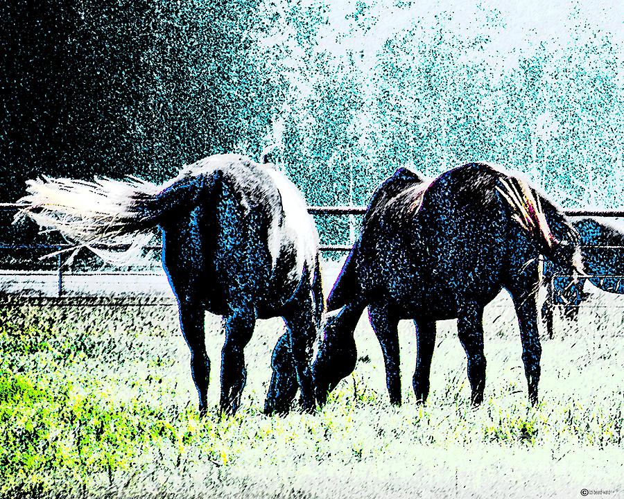 Horse Tails Color Splashed Digital Art by Lizi Beard-Ward