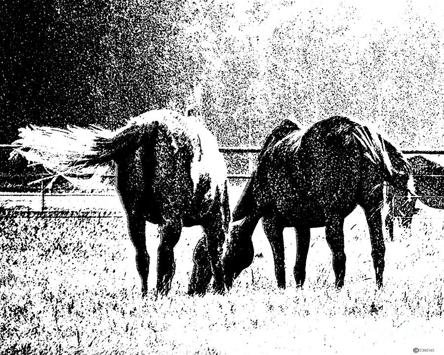 Horse Tails Digital Art by Lizi Beard-Ward