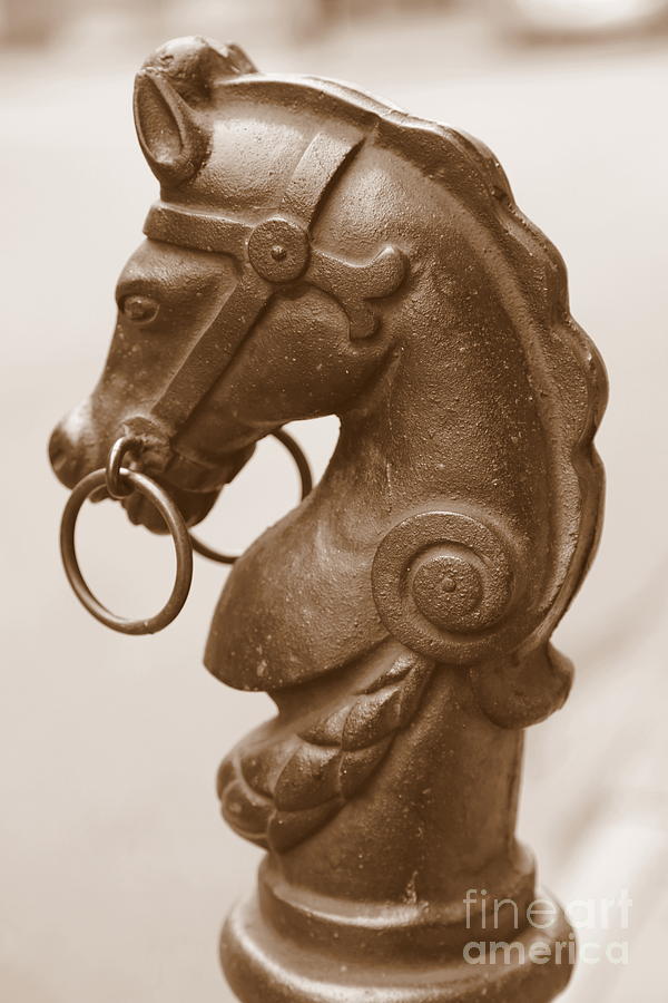 Horse Tether in New Orleans - Sepia Photograph by Carol Groenen
