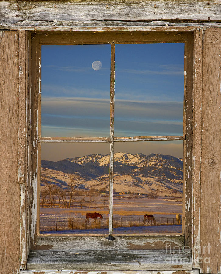 Horses and Moon Rustic Farm Window View Photograph by James BO Insogna