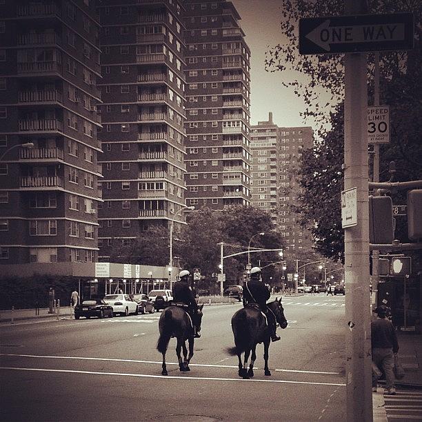 Horse Photograph - #horses #cop #cops #police #horse #ny by Fernando Balino