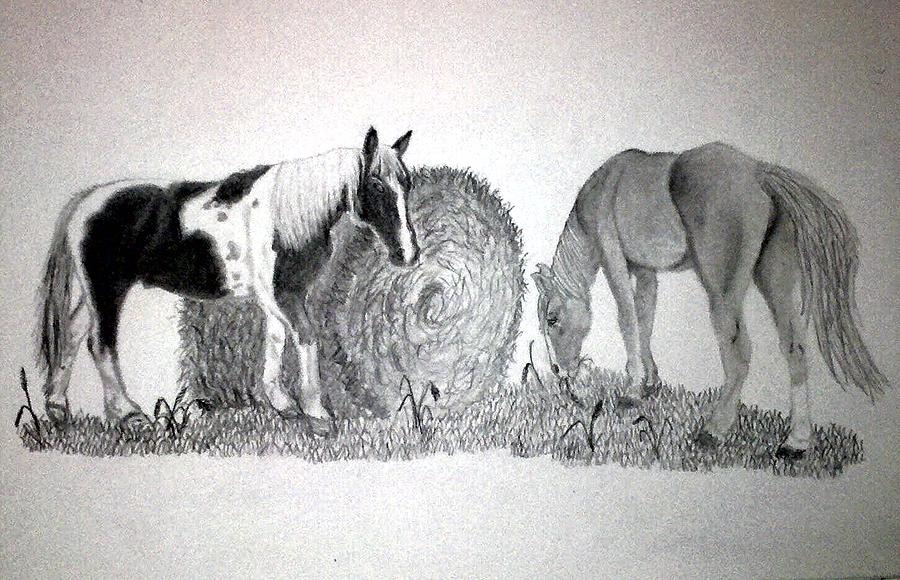 Horses Eating Hay Bale Drawing By Felicia Richards