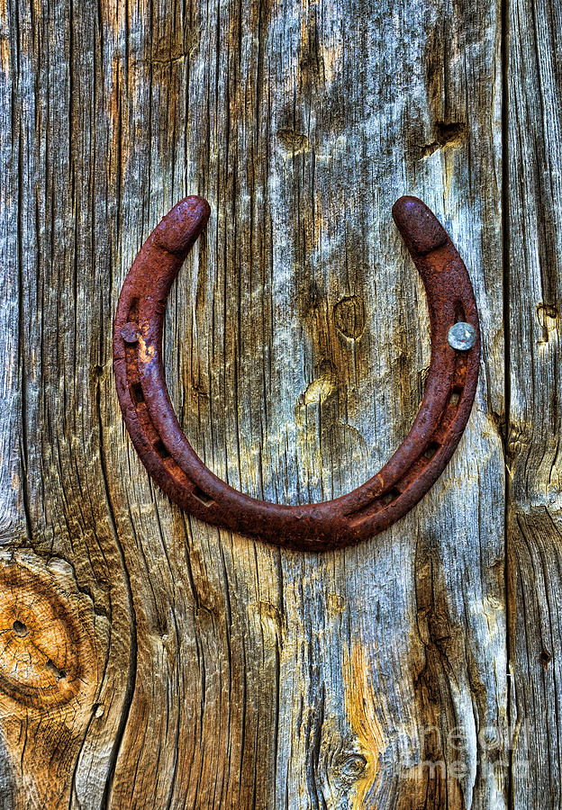 Horseshoe Nailed to Barn Wall Photograph by Jill Battaglia