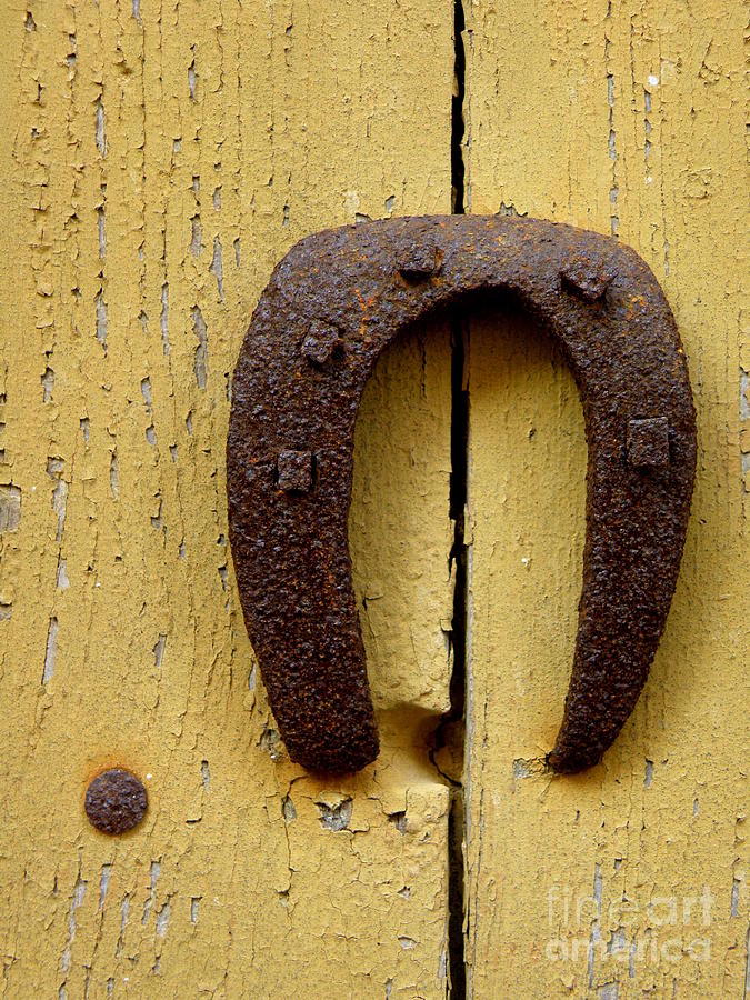 Horseshoe Photograph - Horseshoe on Yellow Door by Lainie Wrightson