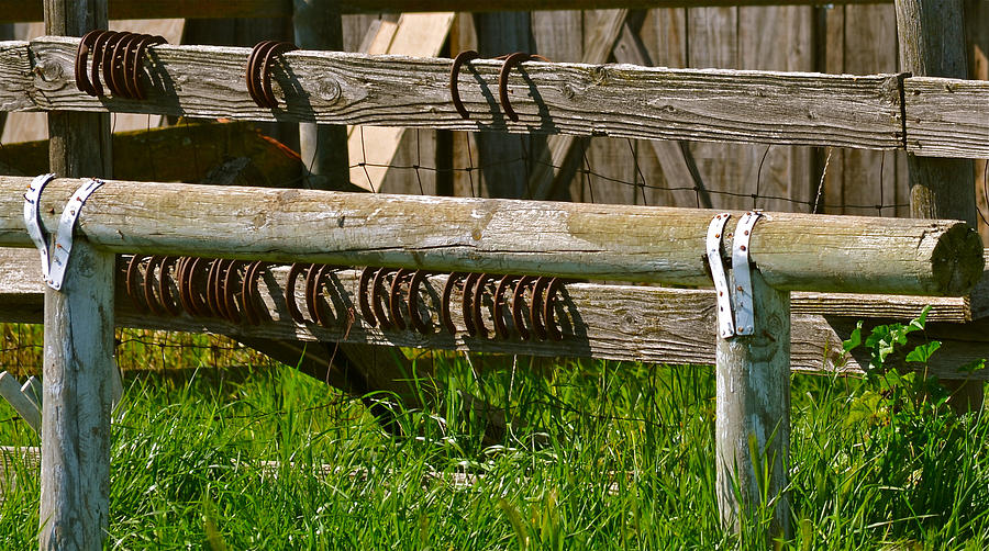Horseshoes Photograph by Bill Owen