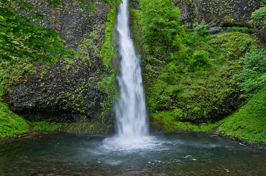 Horsetail Falls Photograph by Greg Nyquist | Fine Art America