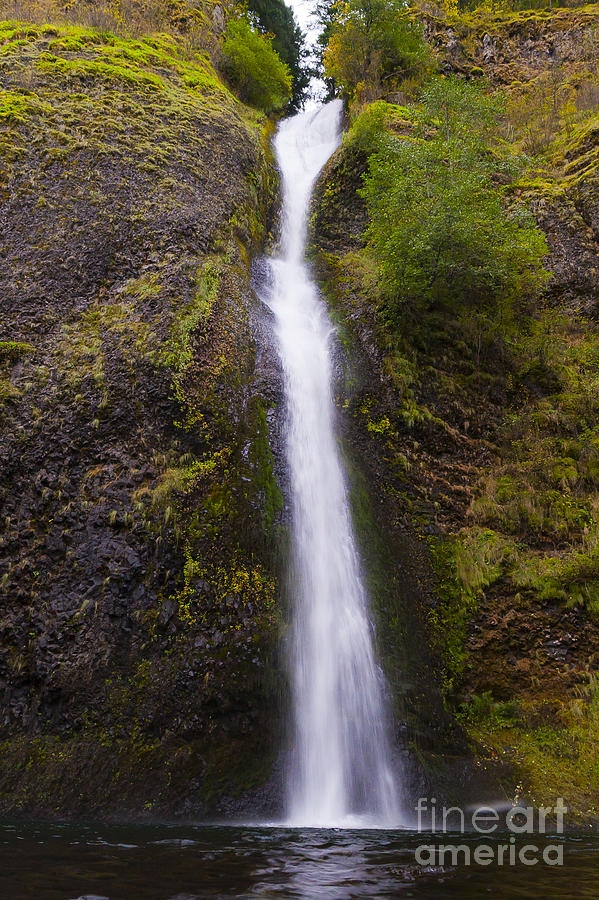 Horsetail Falls Oregon Photograph by Darcy Michaelchuk