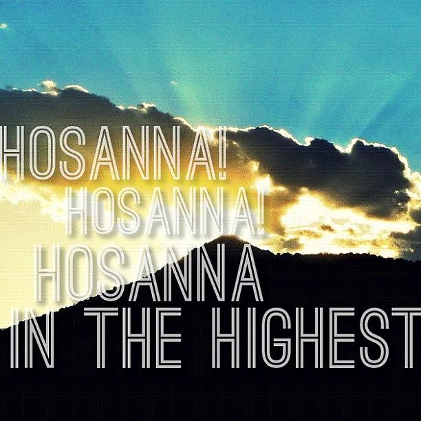 Nature Photograph - Hosanna! Hosanna! Hosanna In The by Traci Beeson