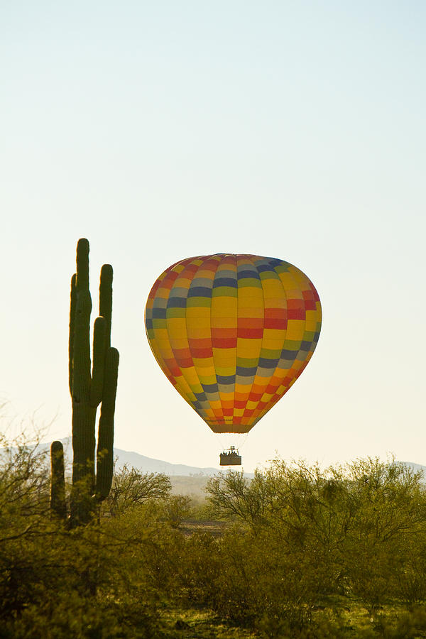 Hot Air Balloon In the Arizona Desert With Giant Saguaro Cactus Photograph by James BO Insogna