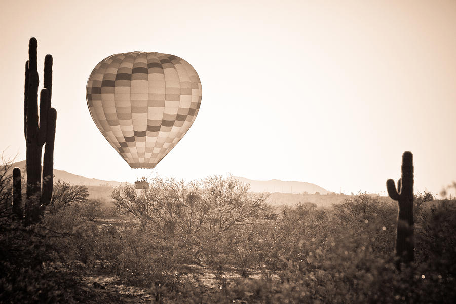 Hot Air Balloon On the Arizona Sonoran Desert In BW  Photograph by James BO Insogna