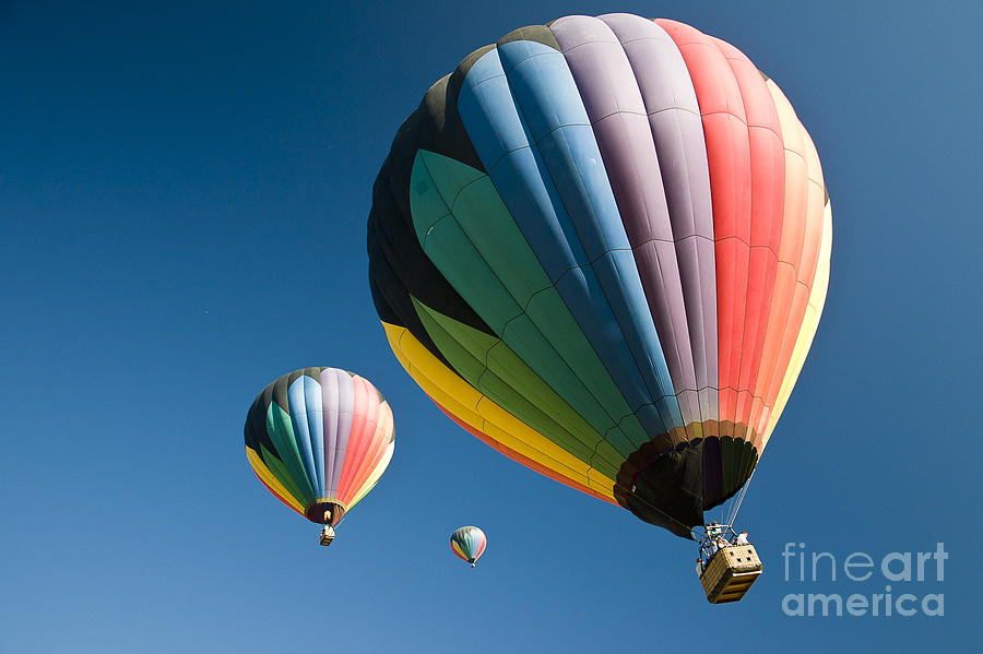 Hot Air Balloons Ascend Photograph by Darcy Michaelchuk