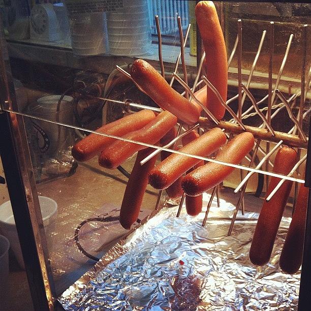 Hot Dog!! Photograph by Angela Davis