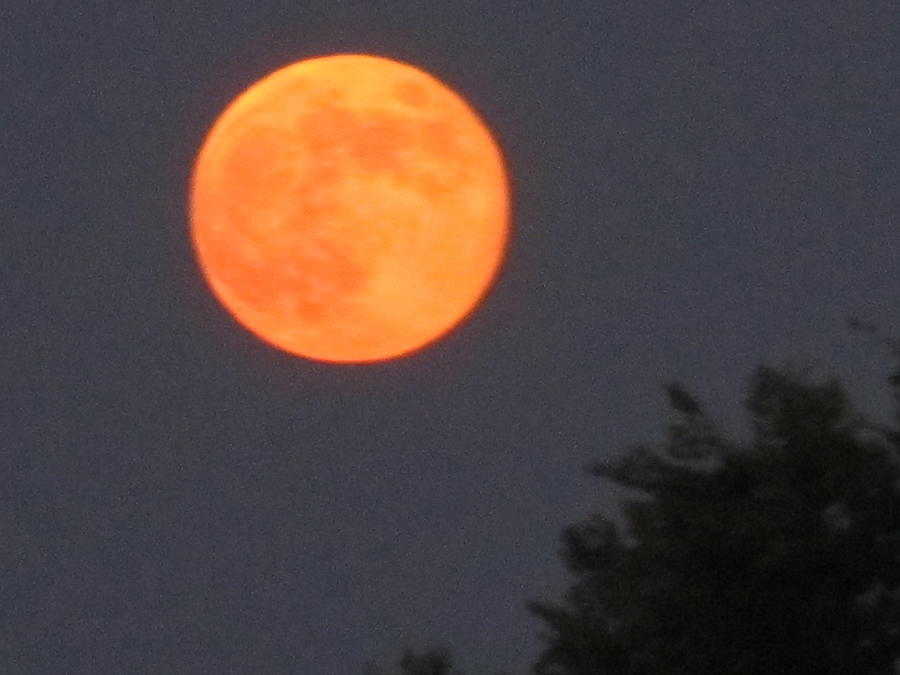 Hot Full Moon Photograph By Tina M Wenger 6343