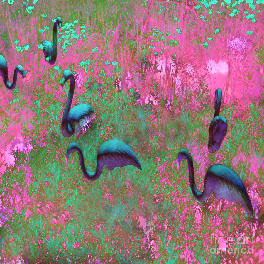Hot Pink Flamingos Garden Abstract Art  Photograph by Kathy Fornal