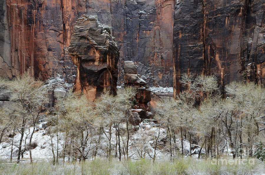 Zion National Park Winter Photograph by Bob Christopher