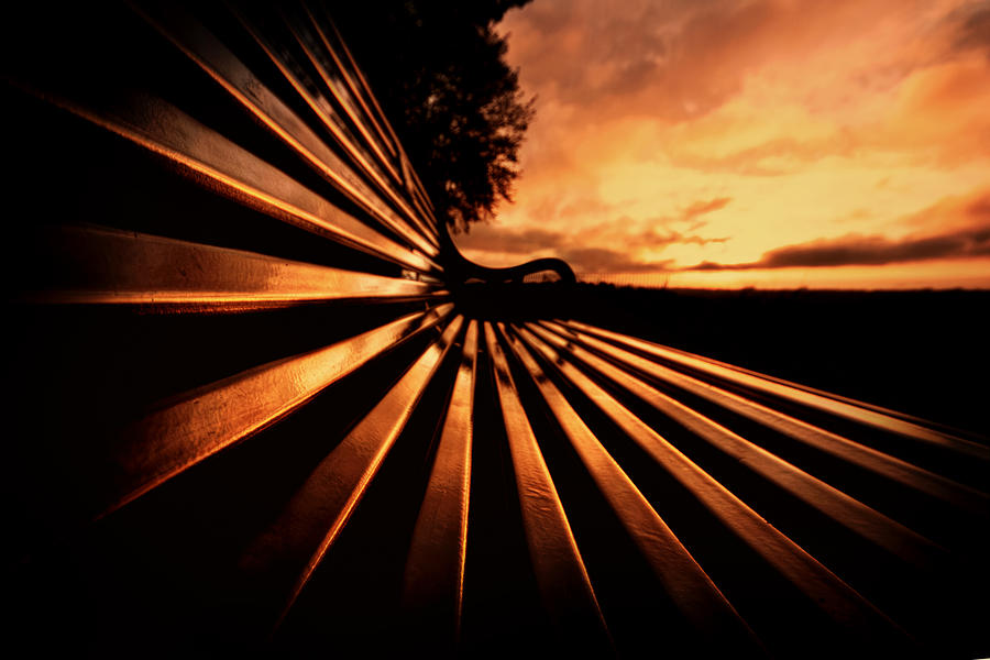 Sunset Photograph - Hot Seat by Evelina Kremsdorf