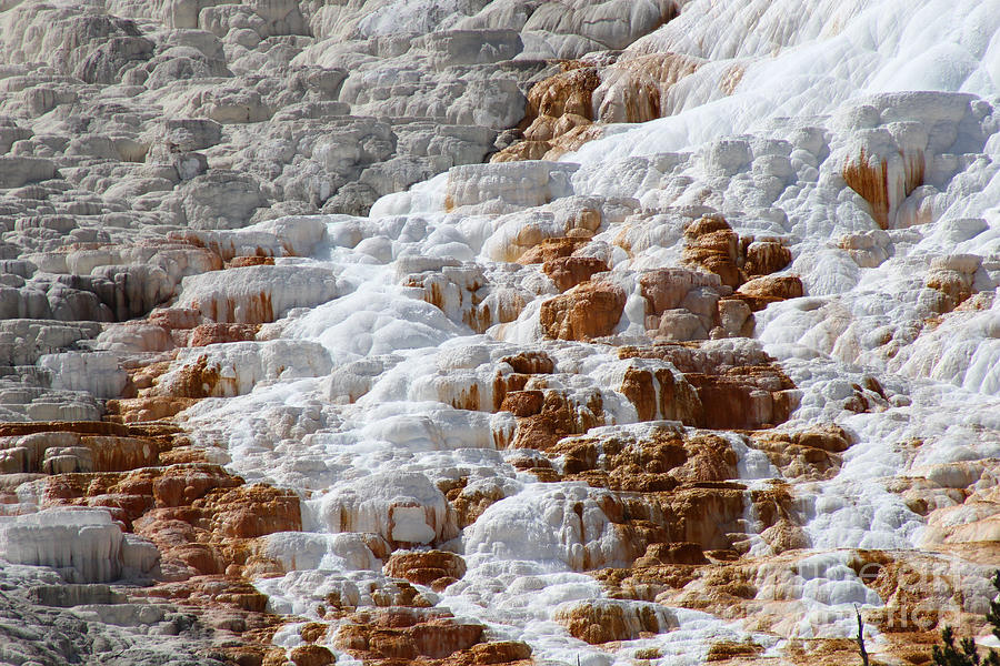 Hot Spring Mineral Deposit Texture Photograph