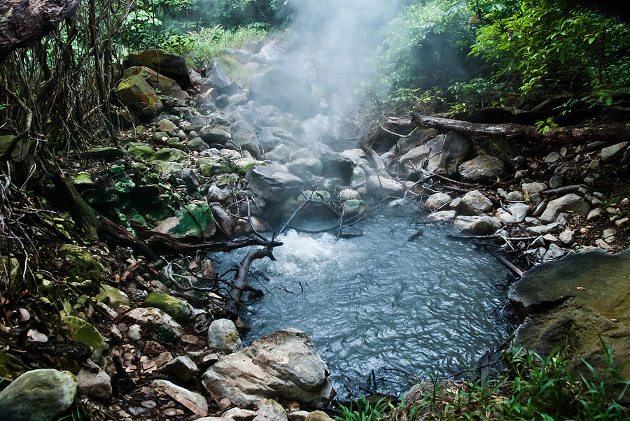 Nature Photograph - Hot Springs by William Shevchuk