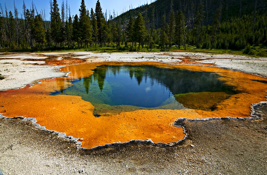Hot Springs yellowstone Photograph by Garry Gay
