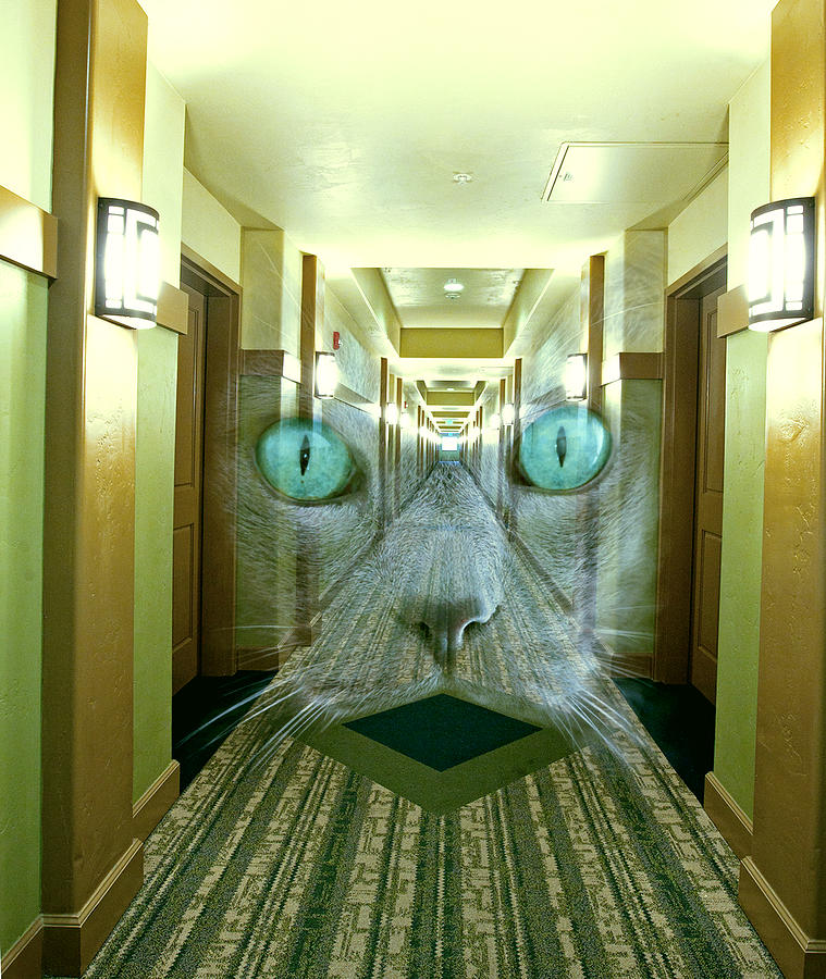 Hotel California Digital Art by James Steele