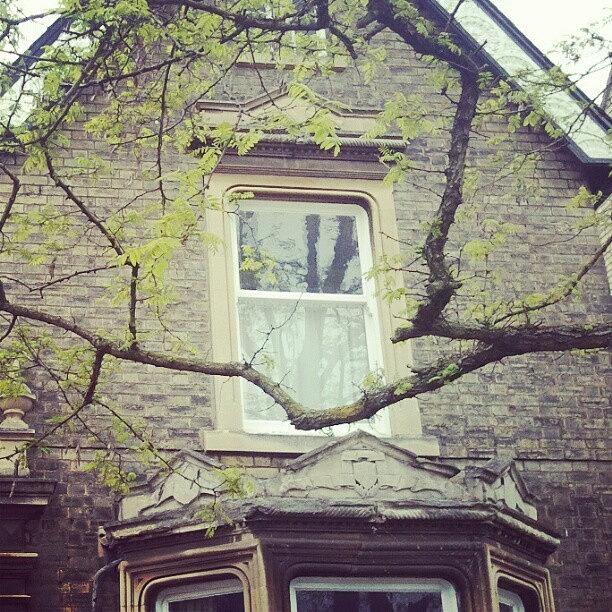 House Photograph - #house, #branch, #urban, #instagram by Rykan V