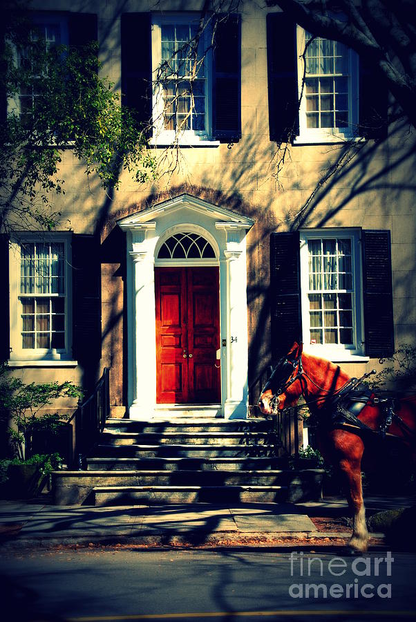 Horse Photograph - House Door 3 in Charleston SC  by Susanne Van Hulst