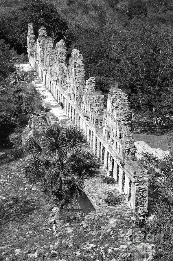 House of the Doves at Uxmal Mexico Black and White Photograph by Shawn OBrien