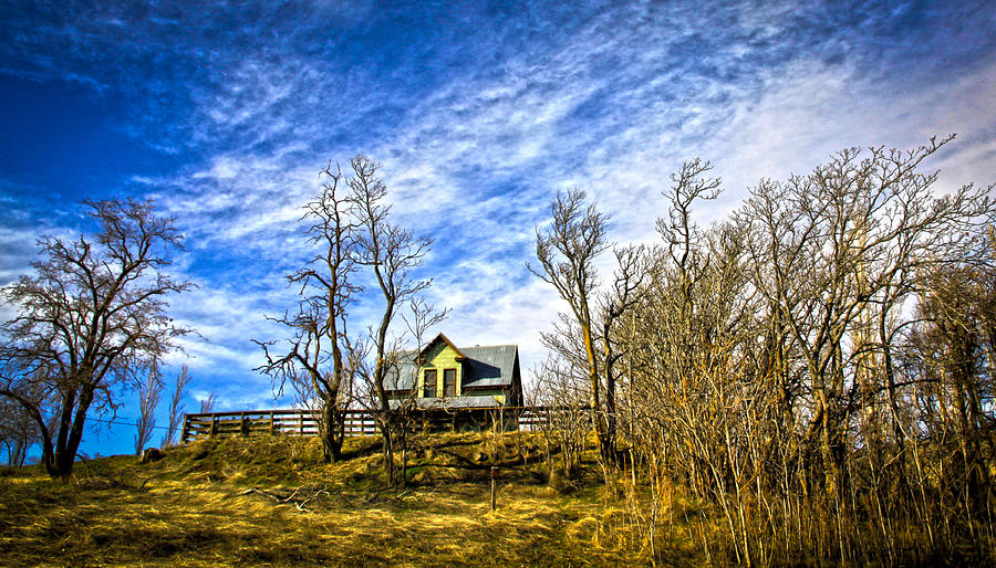 House on the Hill Photograph by Steve McKinzie