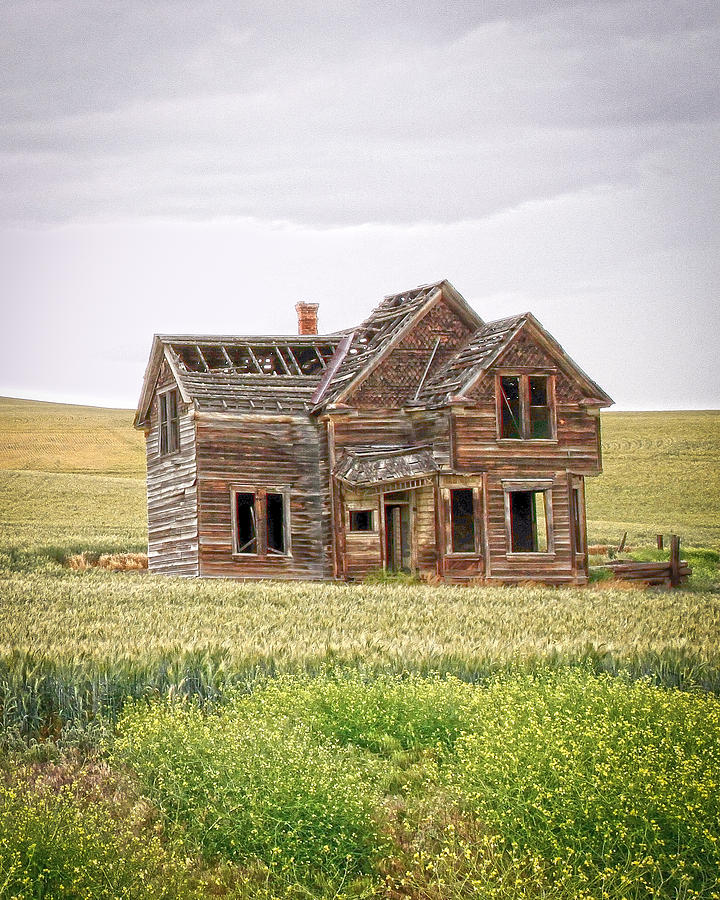 House Photograph by Steve McKinzie