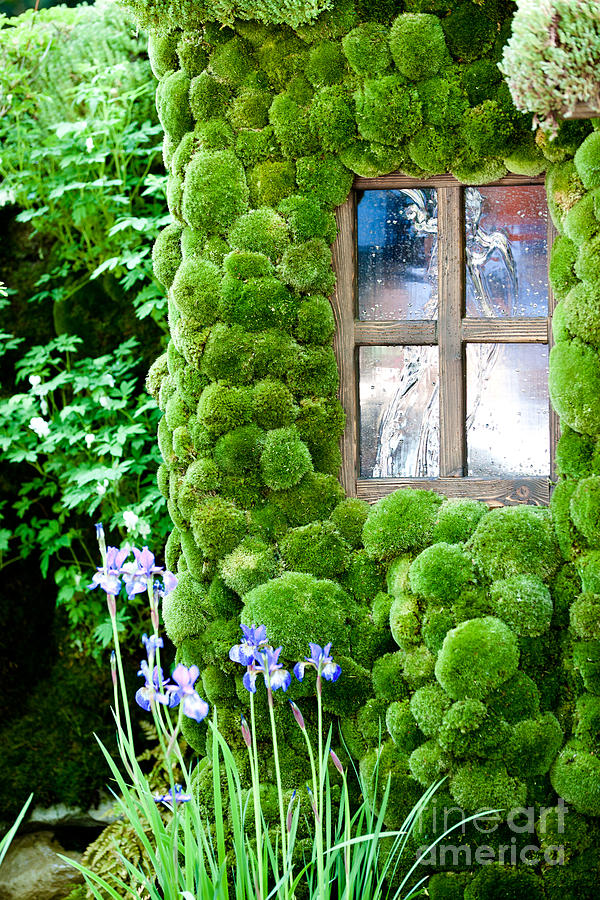 House with moss walls Photograph by Simon Bratt