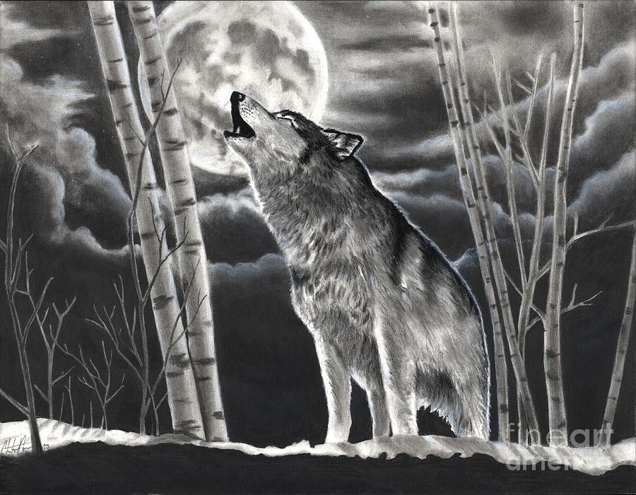 Howling At The Moon Drawing by Christian Conner