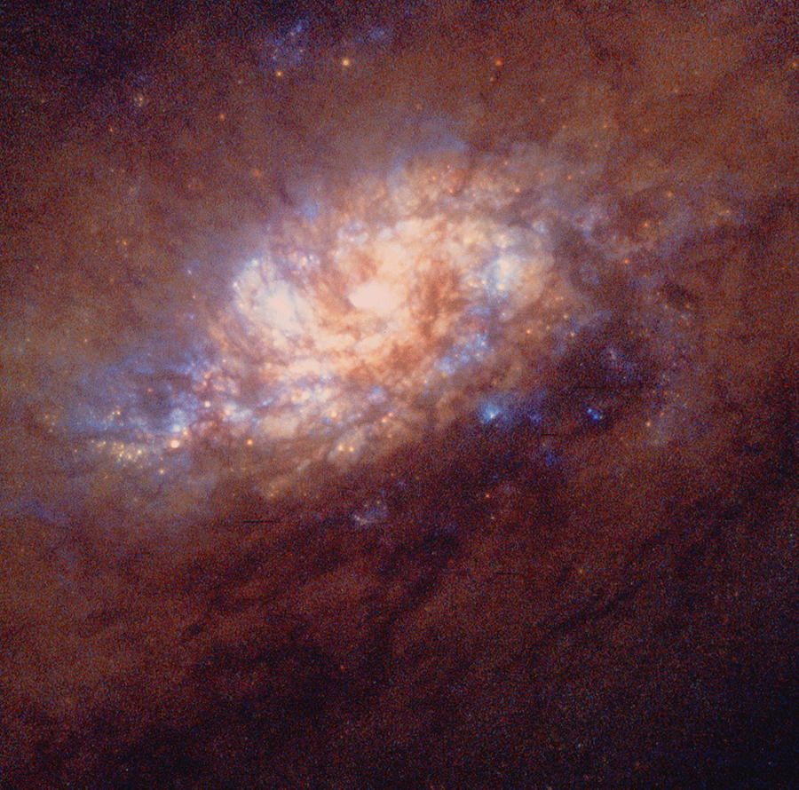 Galaxy Photograph - Hst Image Of Star Birth In Galaxy Ngc 1808 by Nasaesastscij.flood, Amateur Astronomers Inc.