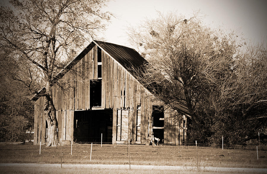 Huge Old Barn Photograph by Lisa Moore - Fine Art America