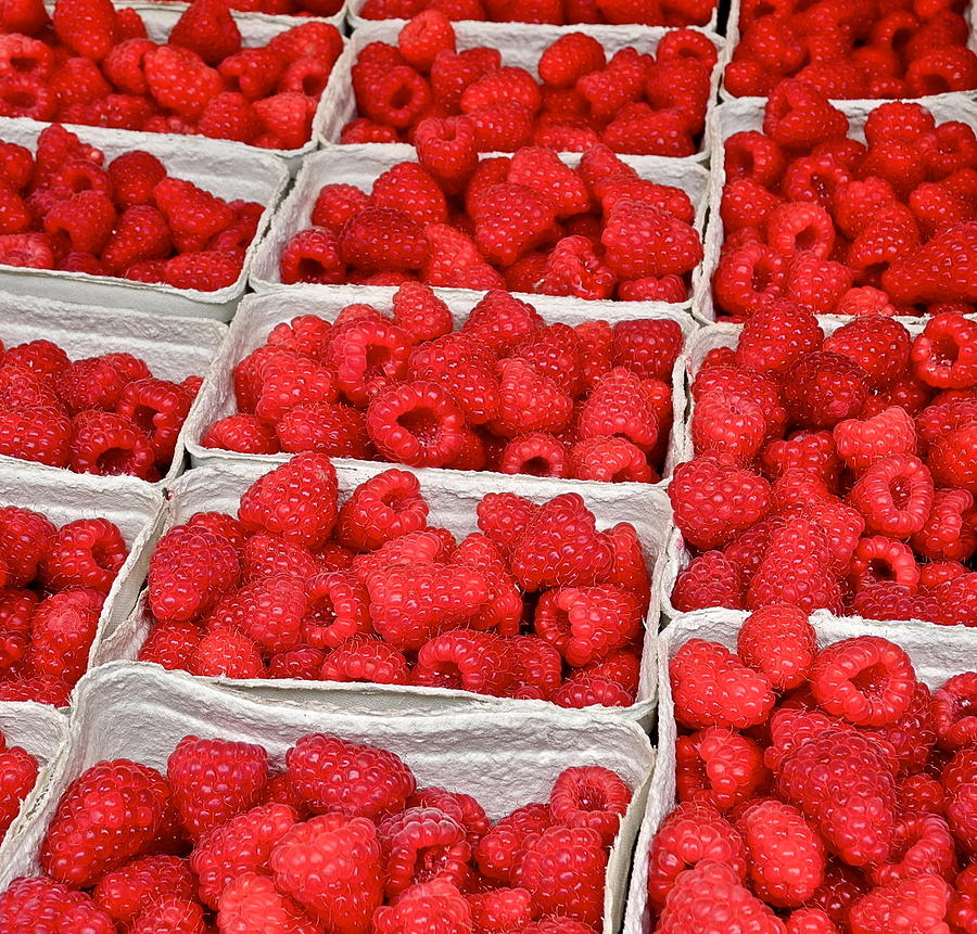 Huge Red Raspberries Photograph by Kirsten Giving