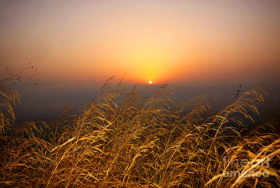 Hula Valley sunrise  Photograph by Alon Meir