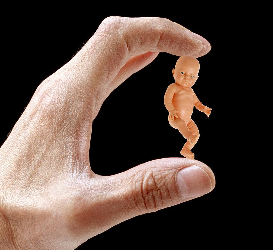 Human Cloning Research Photograph by Victor De Schwanberg