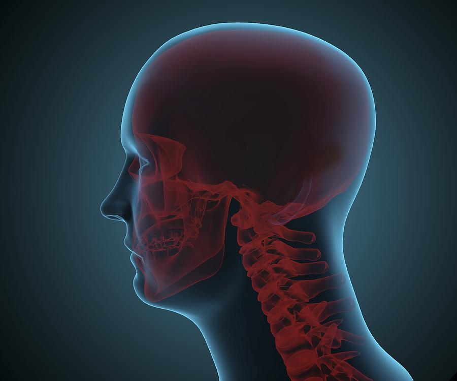 Human Head, Artwork Digital Art by Andrzej Wojcicki