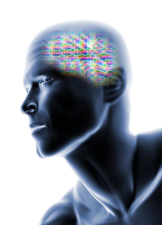 Human Head With Eeg Brainwaves Photograph by Pasieka