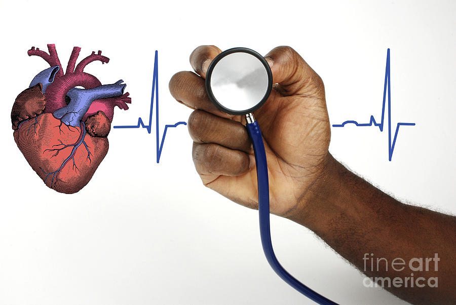 human-heartbeat-photograph-by-science-source