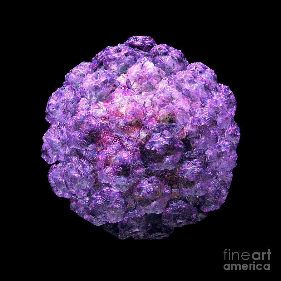 Human Papilloma Virus  10 Digital Art by Russell Kightley