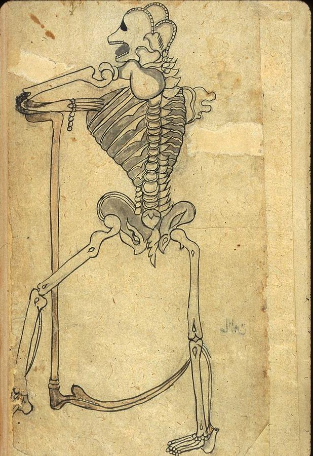 Skeleton Photograph - Human Skeleton Leaning On A Pedestal by Everett
