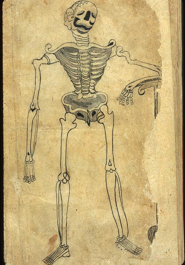 Skeleton Photograph - Human Skeleton Leaning On A Scythe by Everett