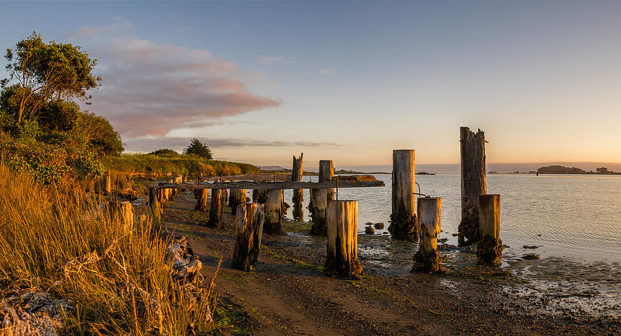 Humboldt Bay Evening Photograph by Greg Nyquist