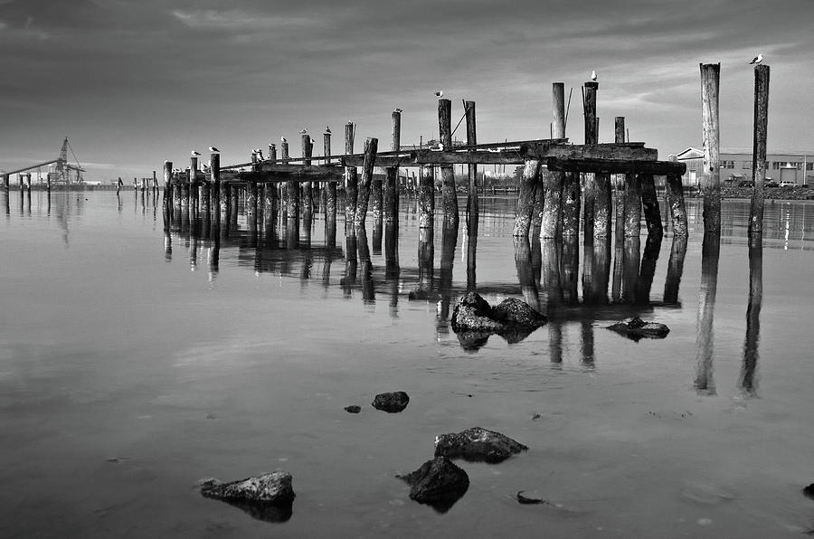 Humboldt Bay Ruins Photograph by Greg Nyquist